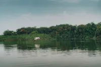 나움바 캠프 사이트 Itezi-Tezi 호텔