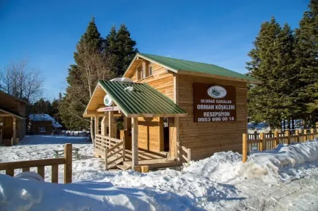 Uludag Orman Koskleri Отели в г. Zeyniler Mahallesi