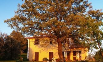 Bio Agriturismo I Lapi