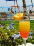 Hotel Rosita - bar