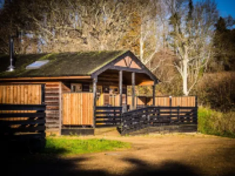 New Forest Lodges