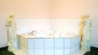 Crystal Star Inn Edmonton Airport with Free Shuttle to and from Airport - Hot Tub