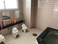 Daisen Midorisou Hotels in Saihaku District