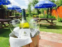 New Inn Hotels in Chard