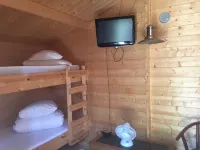 Viking Motel Hotel di 