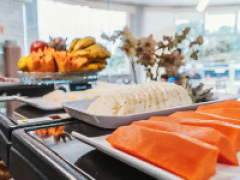 Ferian Plaza Hotel Hotel a Itapira
