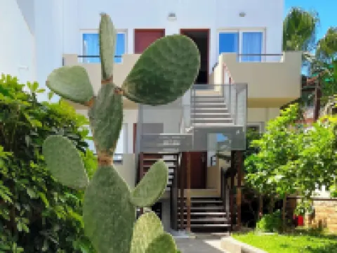 Faedra Beach Hotels in Lasithi
