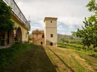 Torretta