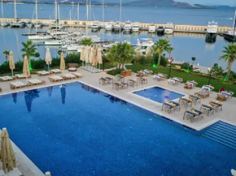 D マリン ディディム マリーナ ヨット クラブ