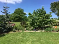 Les Epis du Vent