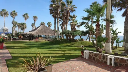 Las Rocas Resort & Spa Отели рядом с достопримечательностью «Baja Gallery»