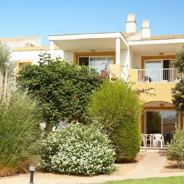 Comitas Isla del Aire