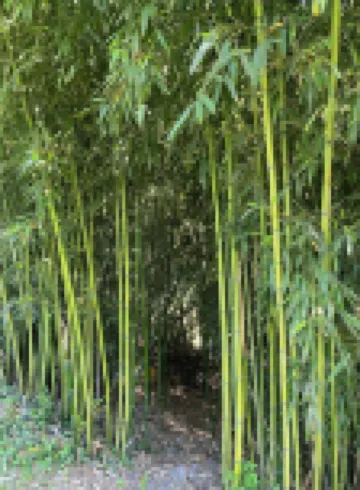 Domaine de la Provençale