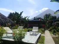 Hospedaje Bullshark Hotel di 