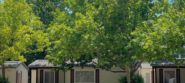 Camping de Zaragoza Hotéis em Comarca de Zaragoza