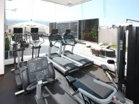HS Hotsson Hotel Queretaro - Gym