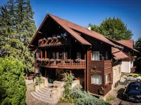 Vila Zorile Hotels near Ruia