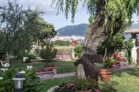 Camere Mariella Hotels near Nuccia Factory Store