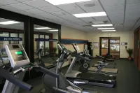 Hampton Inn & Suites Detroit/Chesterfield Township - Gym