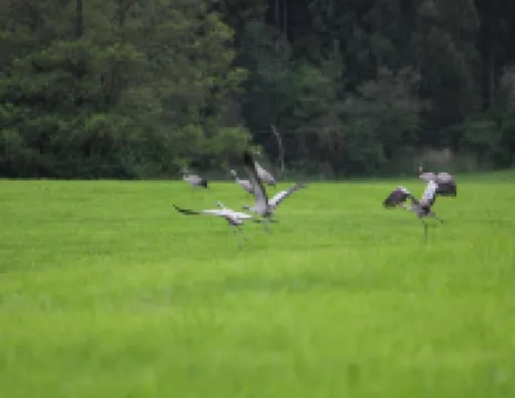 Haus am Gardersee Mit Garten