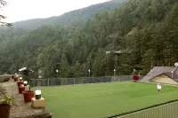 Nature Villa Resort Hotels in Chail