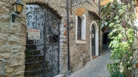 "TASTE OF PROVENCE" between Sea and Olive Trees.