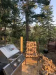 History and Romance abound in this restored home & cabin in cozy Evergreen