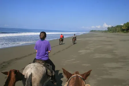 Casa Sonrisa,  Bamboo Rainforest Beach House