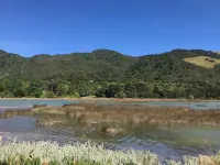 The Library Bach - A special place people love! Hotels in Collingwood