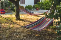 Cisternino-Trullie and Lamie: Grove in Valle D'Itria, "L'Ulivo" accommodation