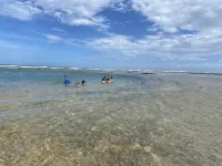 House with swimming pool, 5 bedrooms (4 suites) 40 meters from the beach.