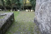 Casa do Rio Vez - LOFT IN RIVERFRONT