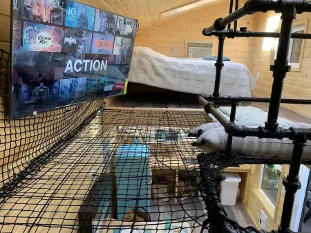 Yeti's Tree House: Where Dreams Come True Отели рядом с достопримечательностью «ZoomCare»