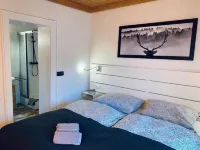 Vacation apartments with private sauna near the ski lifts in St. Oswald