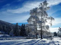 Pagotin chalet with beautiful view