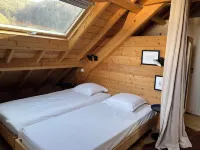 4-Star Gite, Sleeps 6 in the Ossau Valley. Wooded Park with Nordic Bath!