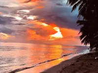 Vaima Beach Retreat- Modern Air Conditioned Apartment /Condo Steps to the Beach! - Strand