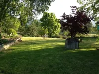 Charming well appointed Cottage in Ashland ( 800 + sq. ft Hotels near Fish Lake