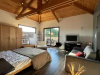 Large Villa with Sea Pool Promo Last Mint Hotels in Messanges