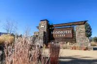 Lakeview Townhomes #5 Townhouse
