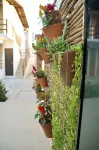 Oxente Travel Apart Hotel - Homestays