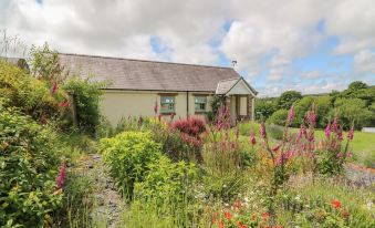 Blaenffynnon Bach