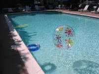 Gauthier's Saranac Lake Inn - Pools