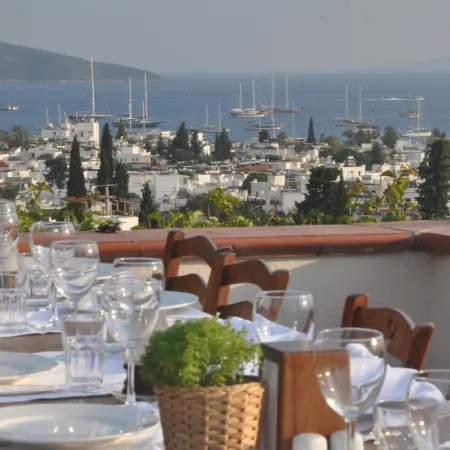 El Vino Hotel & Suites