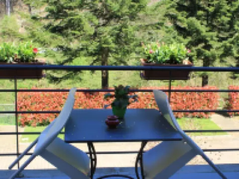 Hotel Abetaia Hotels in Levanto