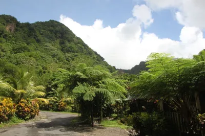 Natty Tropical Valley Hotels in 