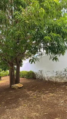 Hotel Boutique Casa Zafra