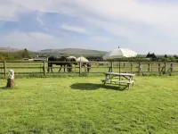 View the Gallery Hotels in Okehampton