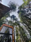 TinyChillHouse Các khách sạn ở Mineral del Chico