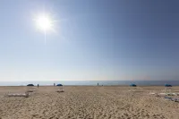 Driftwood Resort on the Ocean - en bord de mer